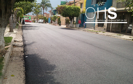 Combate de Palo Alto DESPUÉS